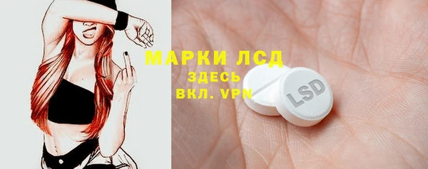 СК Кукмор