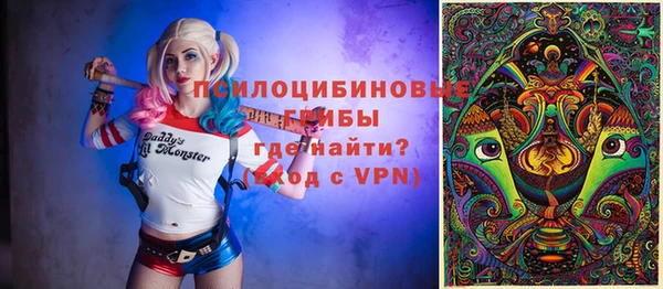СК Кукмор