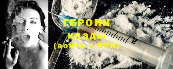 индика Пенза