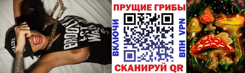 Псилоцибиновые грибы GOLDEN TEACHER  Шимановск 